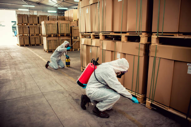 Best Cockroach Control Services  in Denton, MD