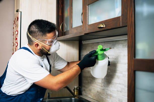 Best Mosquito Control Services  in Denton, MD