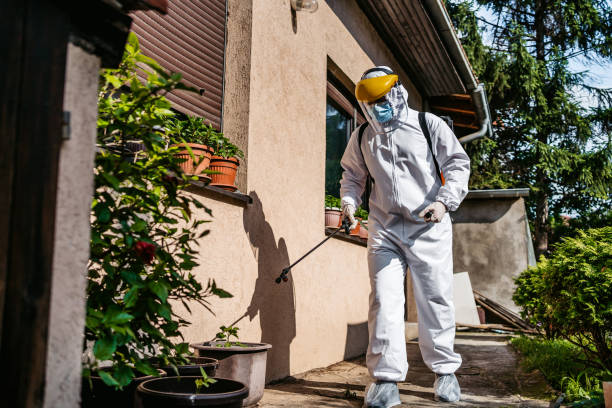 Best Termite Control Services  in Denton, MD