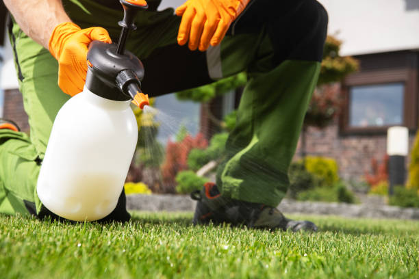 Best Emergency Pest Control  in Denton, MD