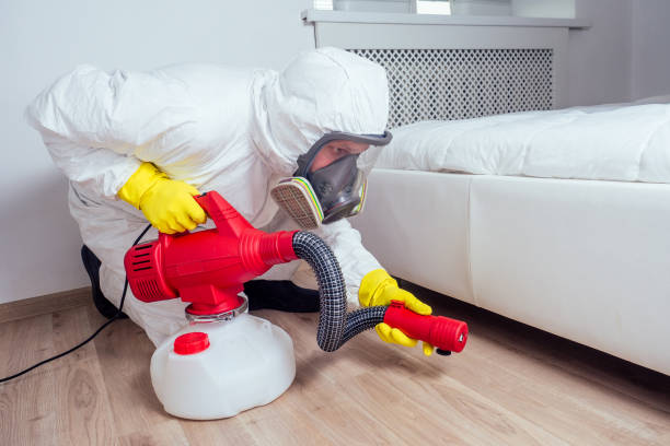 Best Pest Removal Services  in Denton, MD