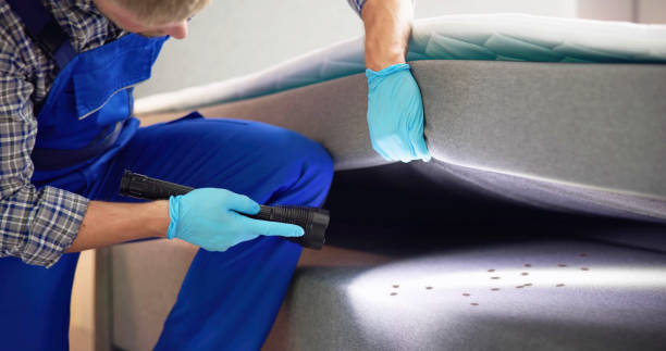Best Rat Extermination Near Me  in Denton, MD