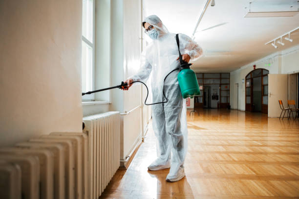 Best Pest Inspection Near Me  in Denton, MD
